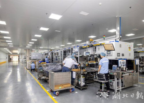 世界500強采埃孚五年三度追投，武漢成其軟件戰略布局核心