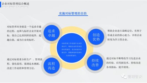 企業(yè)對標(biāo)管理實踐與有效路徑解析——聚焦品牌管理